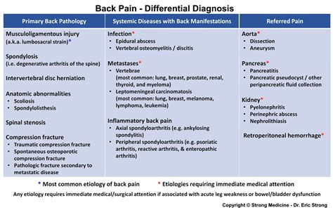 pain differential diagnosis primary  pathology grepmed