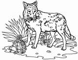 Wolf Coloriage Loup Roxanne Bestappsforkids Catégorie sketch template
