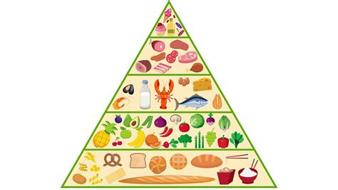 detail   food pyramid