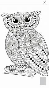 Owl Mandalas Adultos sketch template