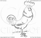 Rooster Outlined Grass Clipart Cartoon Picsburg Coloring Vector Without Protected Royalty sketch template