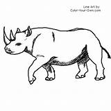 Rhino Coloring Pages Color Rhinoceros Index Own sketch template