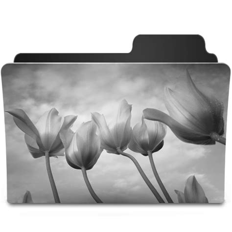 tulips black white icon goodies folder icons softiconscom