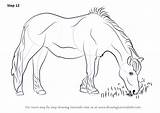 Horse Eating Grass Drawing Draw Step Horses Drawings Line Drawingtutorials101 Sketch Tutorials Animals Learn Getdrawings sketch template