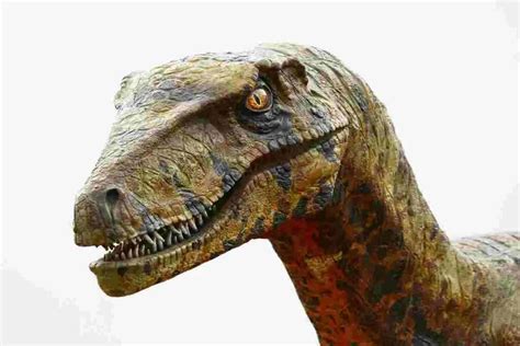 Sound And Fury Did Dinosaurs Have Ears Find Out Now