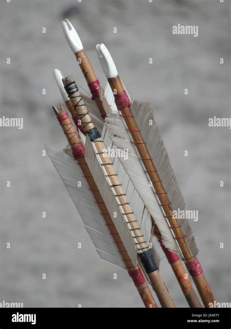 fletching high resolution stock photography  images alamy