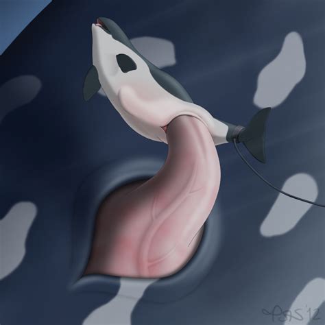 rule 34 2012 stomach bulge cetacean eyess closed female
