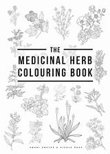 Herb Medicinal Launching Announce sketch template