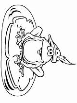 Frog Disegno Ranocchi Rane Rana Colorat Animale Frogs Colorare Coloriage Grenouilles Planse Homer Duck Stampa Shamu Copilul Whale Mallard Broscuta sketch template