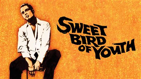 Watch Sweet Bird Of Youth Prime Video