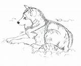 Malamute Alaskan Coloring Deviantart Sketch Husky Template sketch template