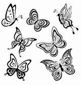 Butterfly Drawing Easy Butterflies Contours Choose Board Vector sketch template