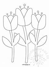 Tulips Tulip Coloringpage sketch template