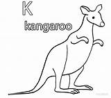 Kangaroo Coloring Pages Printable Kangaroos Print Template Cool2bkids Kids Getdrawings Drawing sketch template