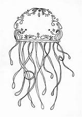 Jellyfish Coloring Pages Drawing Box Realistic Getdrawings Comments Books sketch template