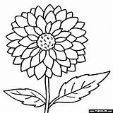 Coloring Flowers Clipart Transparent Webstockreview Mobile sketch template