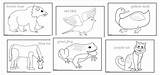 Bear Brown Coloring Printable Pages Book Template Red Do Color Animal Bird Pdf Write Printablee Cannot Slip Starting Yet Each sketch template