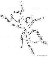 Coloring Ant Coloring4free Related Posts sketch template