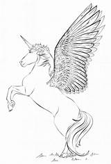 Unicorn Coloring Pages Wings Drawing Realistic Draw Color Step Supercoloring Printable Eenhoorn Magical Tutorials Drawings Cute Online Scribblefun Fairy Vleugels sketch template