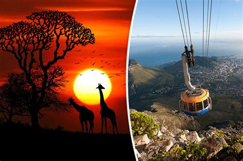 Best Things To Do In Cape Town Top 10 Adventures In The South African