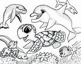 Coloring Sea Pages Animals Realistic Underwater Life Creatures Creature Ocean Getcolorings Marine Color Printable Getdrawings Colorings sketch template
