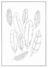Coloring Feathers Pages Turkey Indian Feather Printable Color Getdrawings Getcolorings Print sketch template