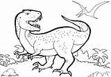 Trex Tyrannosaurus Tarbosaurus Theropod sketch template