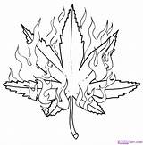 Tattoo Weed Outline Designs Coloring Pages Leaf Tattoos Plant sketch template
