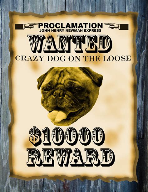 wanted posters flickr