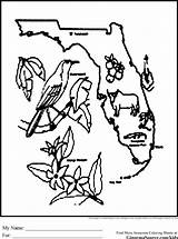 Florida Coloring Animals Pages State Map Kids Print Color Ginormasource Found Popular Choose Board Animal sketch template