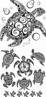 Schildkröten Motive Maori sketch template