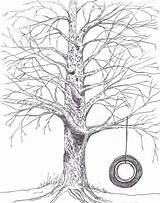 Swing Tree Drawing Sketch Line Trees Coloring Tire Colouring Clipart Draw Pages Digi Stamps Drawings Google Paintingvalley sketch template