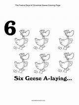 Christmas Days Twelve Coloring Pages Printables Geese Laying Drawing Printable Six Kidscanhavefun Colors Drummer Boy Worksheets Crafts Color Gold Partridge sketch template