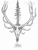 Stag Drawing Head Elk Pencil Savage Getdrawings Drawings sketch template