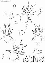 Coloring Ant Pages Ants sketch template