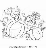 Pumpkin Vine Illustration Clipart Vector Outlined Royalty Tradition Sm Halloween Seamartini Tablero Seleccionar Clipartof Dibujos sketch template