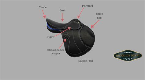 guide  parts  functions   english saddle breechescom