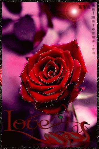 صور متحركة With Images Rose Love Flowers Beautiful Roses