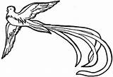 Quetzal Bird Drawing Coloring Pages Simple Resplendent Birds El Tattoo Guatemala Pyrography Other Rendition Columbian Pre Volando Civilizations Patterns Burning sketch template
