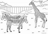 Zoo Ausmalbilder Tiere Toddlers Malvorlagen Cool2bkids sketch template