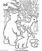Coloring Pages Christmas Animals Animal Printable Bing Forest Sheets Fun Color Worksheets Print Holiday Popular Library Clipart Adult Dot Kittens sketch template