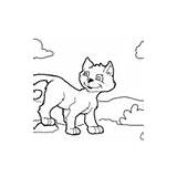 Cat Coloring Kitten Surfnetkids Pages sketch template