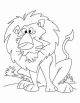 Lion Coloring Pages Lioness Angry Mouse Mountain Drawing Printable Tiger Daniel Getdrawings Cub King Color Getcolorings Kids Colorings sketch template