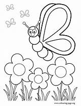 Coloring Garden Flower Pages Kids Color Print sketch template