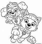 Everest Skye Paw Patrol Chiots Joyeux Patrouille Kleurplaten Pat Colouring Kleurplaat Pups sketch template