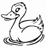 Duck Coloring Pages Cartoon Ducks Drawing Wallpaper Colour Printable Birds Cute Animal Kids Swimming Printables Preschool Seo Tags Colours Preschoolactivities sketch template