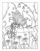 Coloring Molly Harrison Pages Adult Fairy Choose Board Books sketch template
