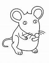 Rato Ratos Desenhos Mouse Rats Ratona Hea Cuentos Gaddynippercrayons sketch template