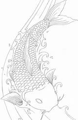 Koi Fish Coloring Pages Dragon Coy Printable Drawing Drawings Tattoo Element Japanische Colouring Fisch Print Template Designs Besuchen Deviantart Mandala sketch template