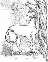 Unicorn Coloring Pages Adults Realistic Forest Printable Adult Color Print Draw Sheets Colouring Dragon Unicorns Kids Horse Rocks Cute Beautiful sketch template